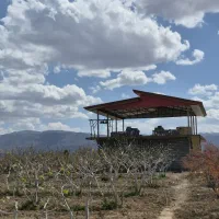 باغ ویلا ساوه سندتک برگ