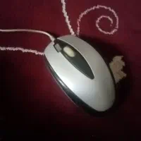 کامپیوتر|رایانه رومیزی|زرند, |دیوار