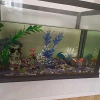 اکواریوم۵۰در ۳۰