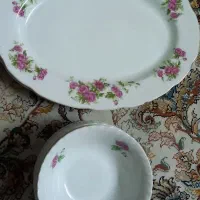 دیس و کاسه گل سرخ