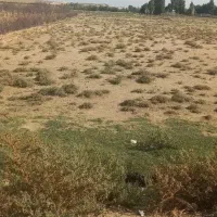 زمین ۵۰۰متر