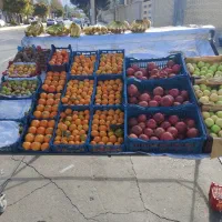 سلام دوستان میزبرای میوه. فروشی چرخ دار