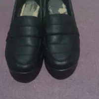 وسایل منزل|فرش|زابل, |دیوار