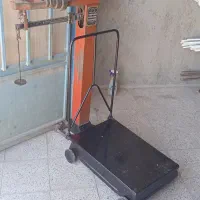 میزان دقت 300کیلویی|کلکسیون اشیاء عتیقه|قائن, |دیوار