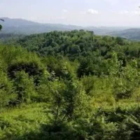 زمین شهرکی جنگلی قابل ساخت سند دار/قابل معاوضه