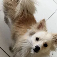 ی خوشگل شیطون