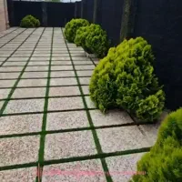 ویلای شخصی ساز ۳۱۰ متر/سندتکبرگ پروانه و پایانکار|فروش خانه و ویلا|چاف و چمخاله, |دیوار