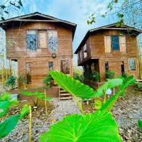 خریدی-مطمئن-در-مجموعه-بی-نظیر-و-چشم-نواز