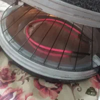 گزل فر در حد نو