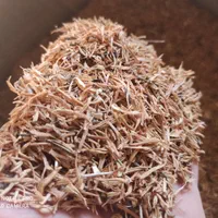 آویشن بهارنارنج|عمده‌فروشی|شیراز, بازار|دیوار