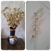 گلهای ریبای خارجی