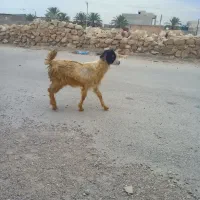 کهره ماده خوب