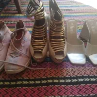 چند عدد کفش مجلسی