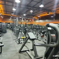 ۲ منشی اقا  باشگاه ورزشی ایلیا