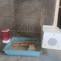 قفس پرنده