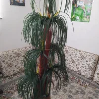 نخل مصنوعی