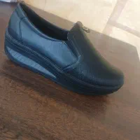 استخدام همکار خانم یا آقا در سهند