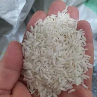 برنج هاشمی آستانه اشرفیه با کیفیت درجه یک|خوردنی و آشامیدنی|لاهیجان, کوی آزادگان|دیوار