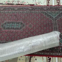 یک جفت فرش کناره|فرش|اردبیل, |دیوار