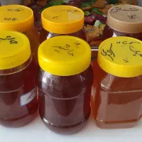 عسل مرغوب وتازه