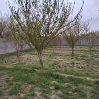 چهار-دیواری-350متری-قیمت-مناسب
