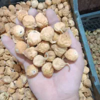 انجیر و خشکبار