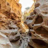 تور گردشگری جزیره قشم|تور و چارتر|قشم, |دیوار