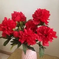 گل و گلدان|گل مصنوعی|شهر ری, اقدسیه|دیوار