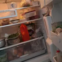 یخچال فروشی