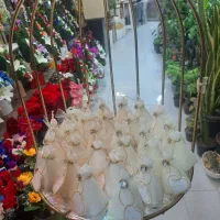 شاخه نبات. حنا