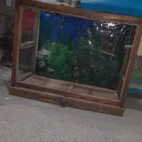 قفس چوبی پرنده