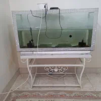 آکواریوم و ماهی