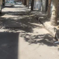 دبه ۱۰کیلویی وخیار شور