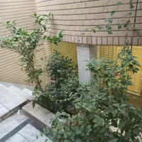 دوخوابه تر و تمیز ۹۰ متری. روزانه، هفتگی، ماهانه|اجارهٔ کوتاه‌مدت آپارتمان و سوئیت|کاشان, الغدیر|دیوار