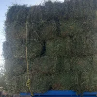 یونجه خشک انباری|لوازم جانبی حیوانات|زنجان, |دیوار