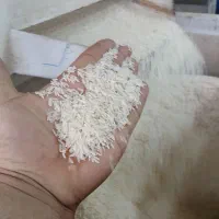 برنج فجردرجه یک عالی وخوشبخت|خوردنی و آشامیدنی|تاتار علیا, |دیوار