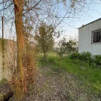 باغ-2هزار-متری-باویوو-جنگل-و-درخت-مرکبات