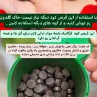 فروش قرص برای  کود گل و گیاه