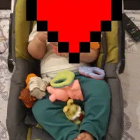 کریر سبز طوسی