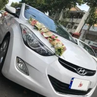 ماشین عروس انواع مختلف در گیلان