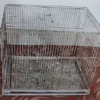 قفس پرنده