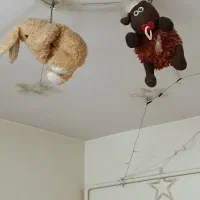 تعداد زیادی عروسک|اسباببازی|ساوه, |دیوار