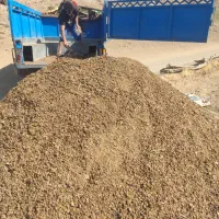 کود حیوانی