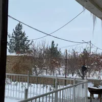 نیروی فنی در مرغداری