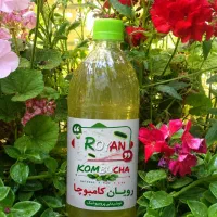 کامبوجا کبدچرب رویان کامبوچا