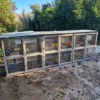 قفس کبوتر جفتی ۱۲ تایی