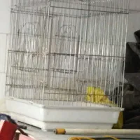 دو عدد قفس بزرگ پرنده|لوازم جانبی حیوانات|شوشتر, |دیوار