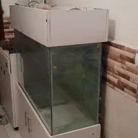 اکواریوم کمد دار|ماهی|کرج, شاهینویلا|دیوار