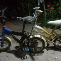 دوچرخه ۱۲  ۲ عدد