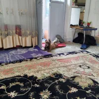 واگذاری سگ پنج ماهه|سگ|مراغه, |دیوار